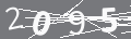 capsa